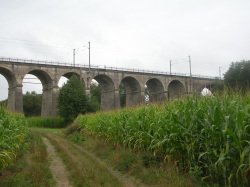 Viaduc de Dannemarie en 2008